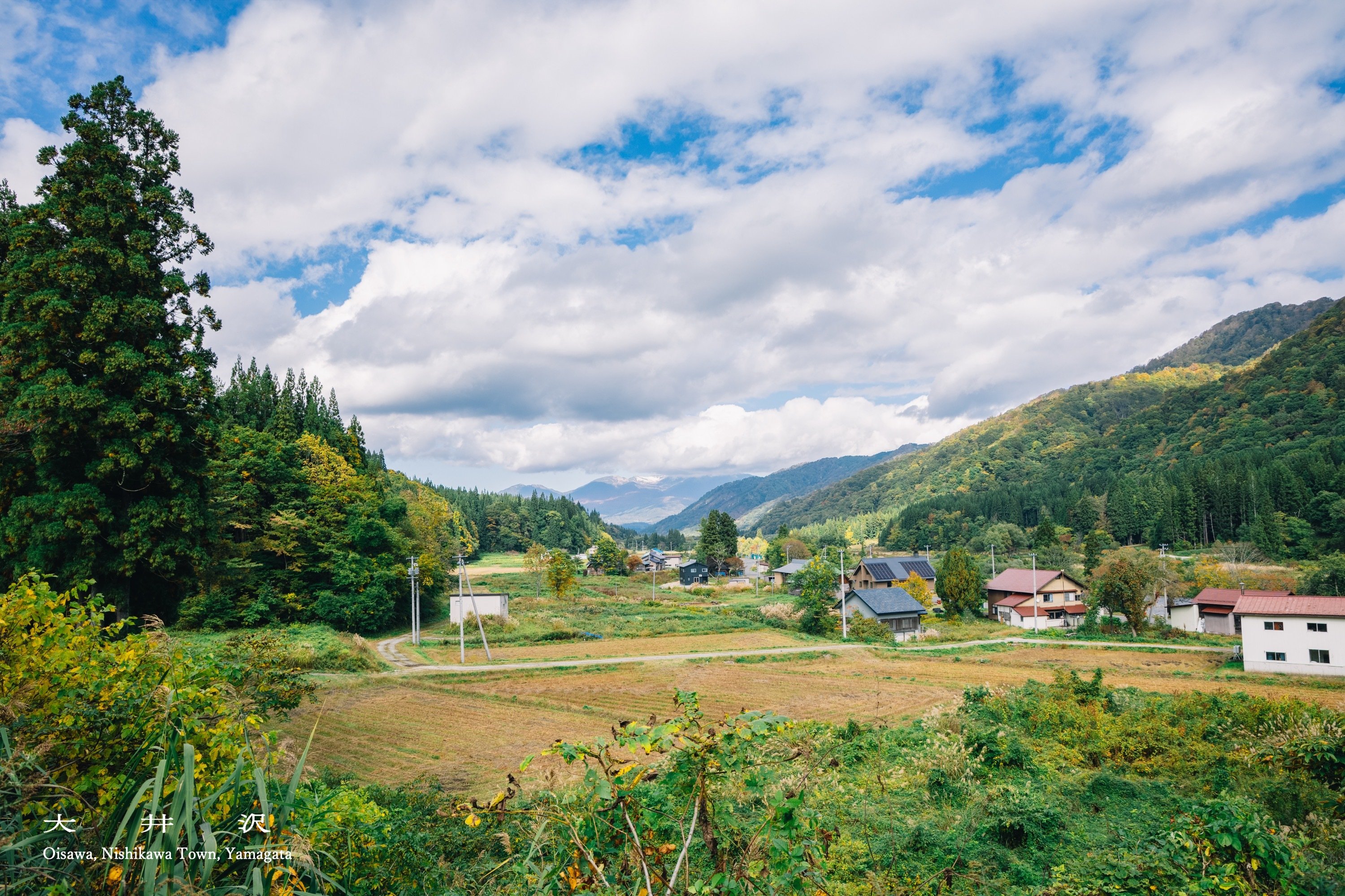 oisawa7.jpg