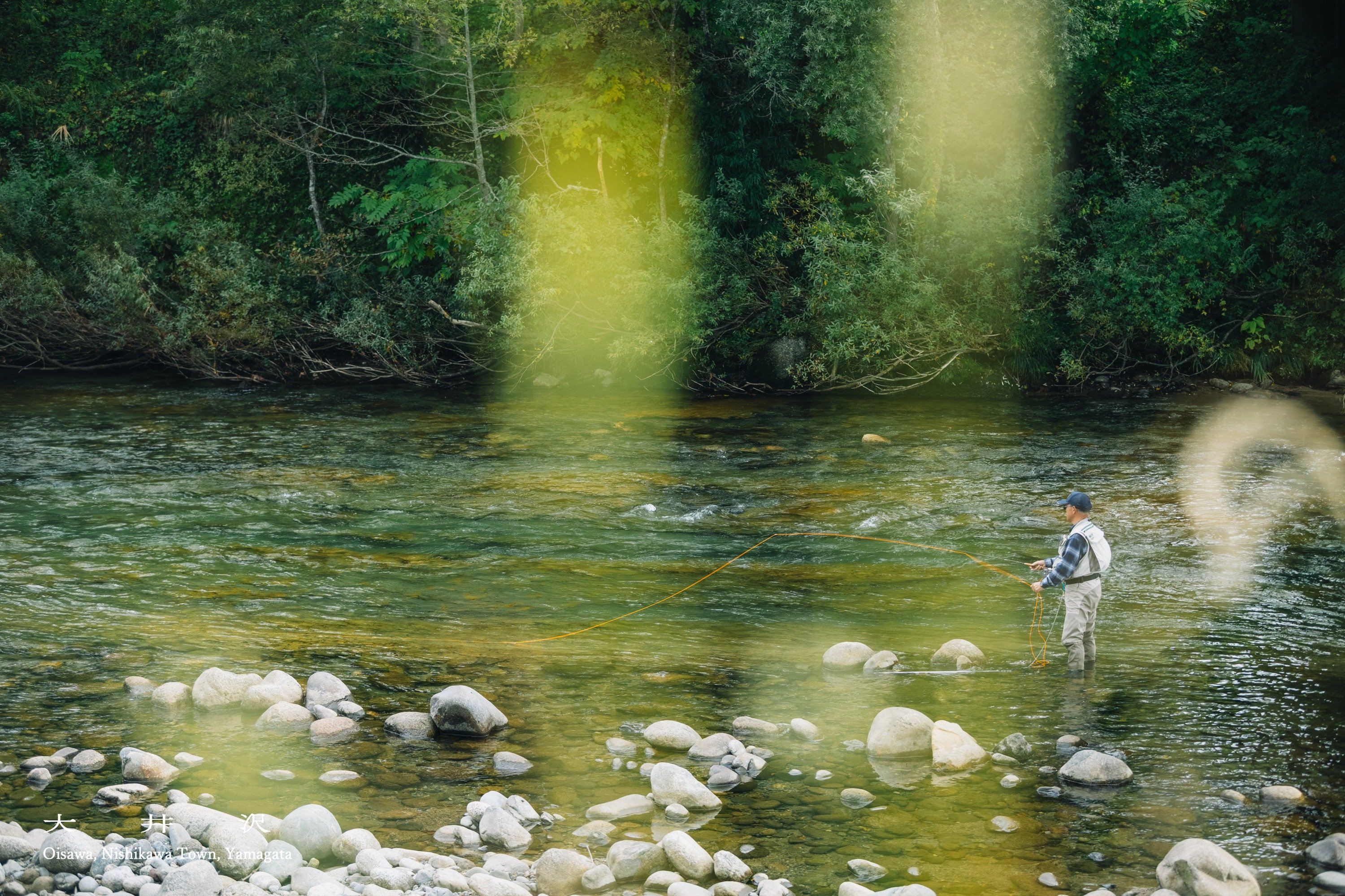 oisawa6.jpg