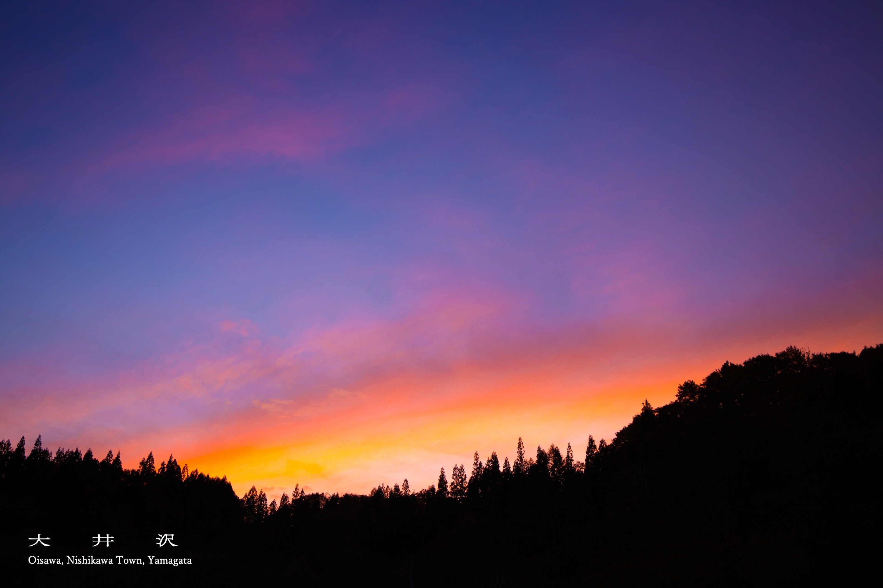 oisawa11.jpg