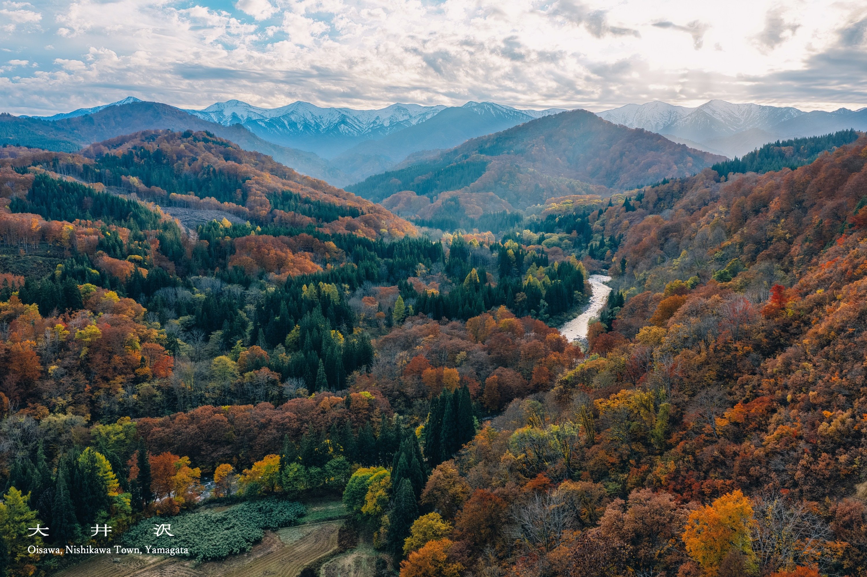 oisawa5.jpg