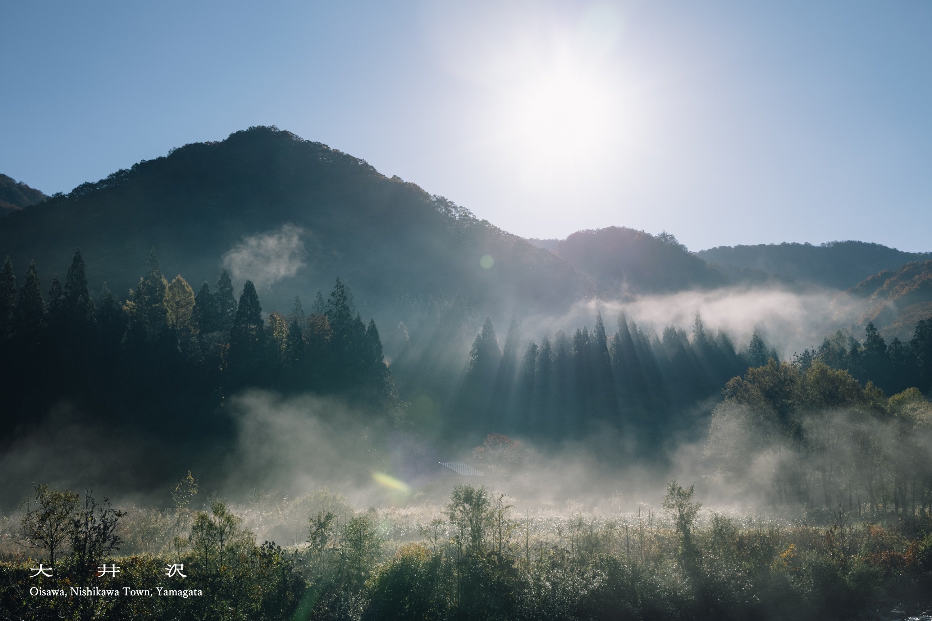oisawa8.jpg