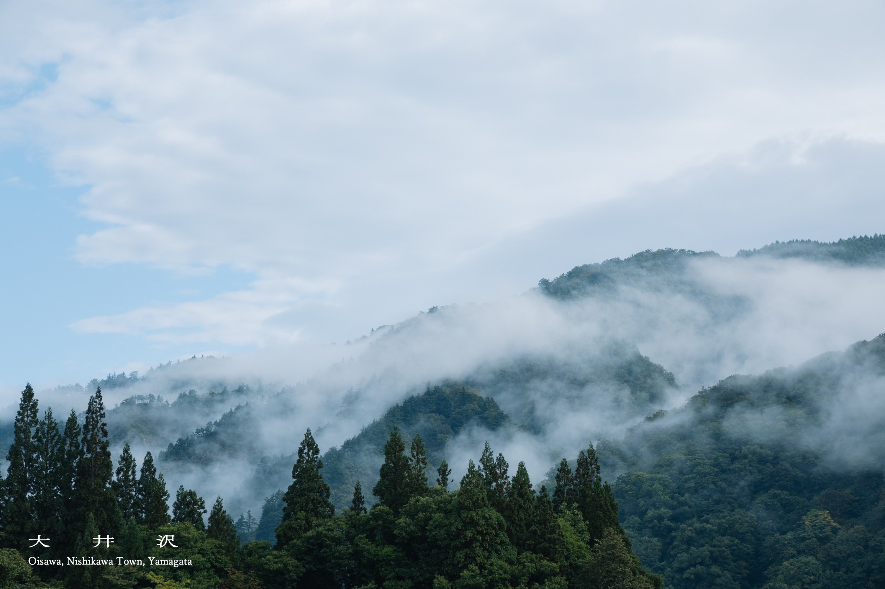 oisawa13.jpg